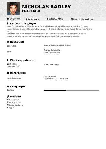  resume example